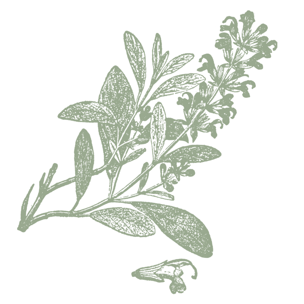 Sage branch design